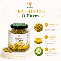 Trà hoa cúc Kim Cúc O'FARM sấy thăng hoa nguyên chất.