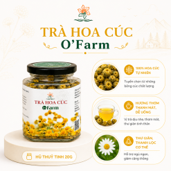 Trà Hoa Cúc O'FARM